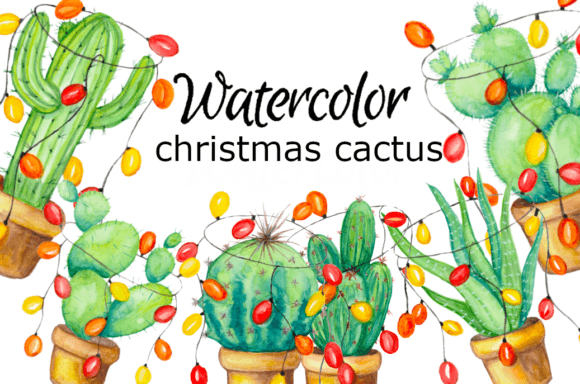 Watercolor Christmas Cactus Art for Illustrations